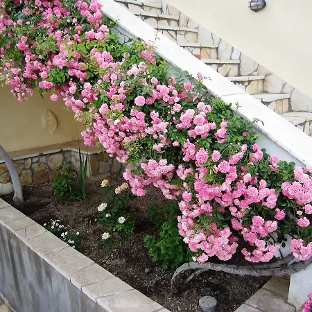 Marietas House カントリーハウス